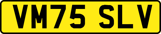 VM75SLV