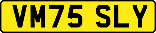 VM75SLY