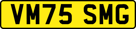 VM75SMG