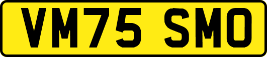 VM75SMO