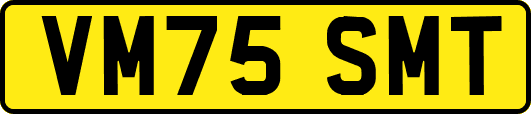 VM75SMT