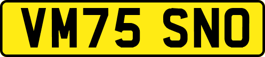 VM75SNO