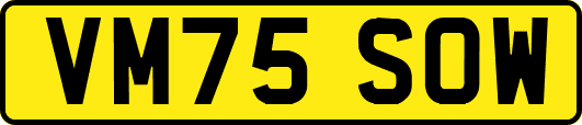 VM75SOW