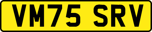 VM75SRV
