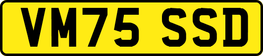 VM75SSD