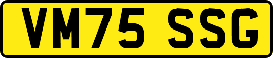 VM75SSG