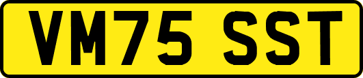 VM75SST