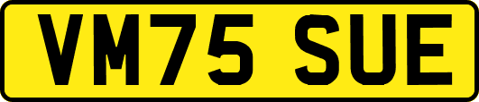 VM75SUE