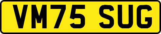 VM75SUG