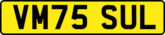 VM75SUL