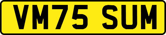 VM75SUM