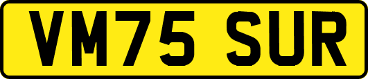 VM75SUR