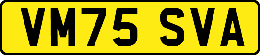 VM75SVA