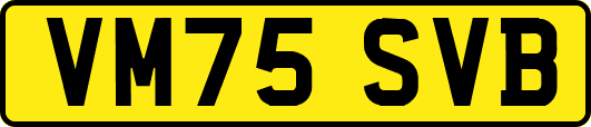 VM75SVB