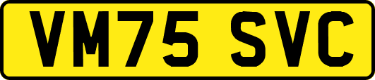 VM75SVC