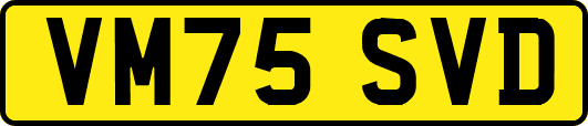 VM75SVD