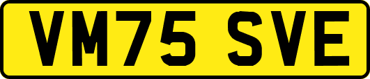VM75SVE