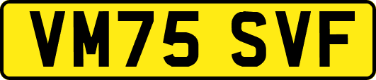 VM75SVF