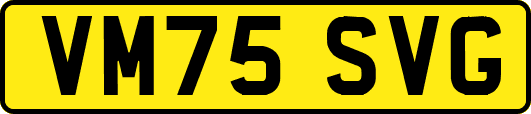 VM75SVG