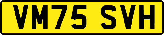 VM75SVH