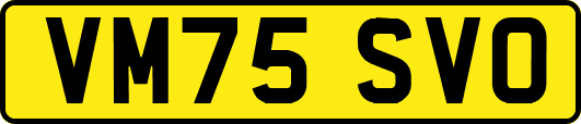 VM75SVO