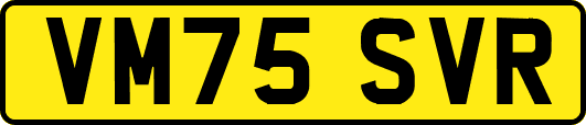 VM75SVR