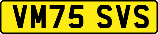 VM75SVS
