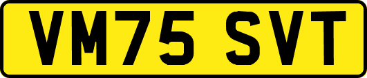 VM75SVT