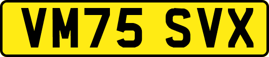 VM75SVX