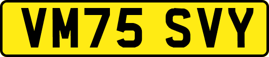 VM75SVY