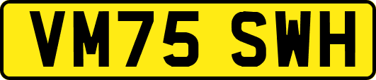 VM75SWH