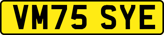 VM75SYE