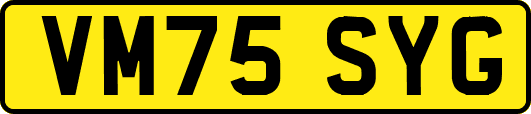 VM75SYG