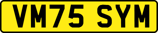 VM75SYM