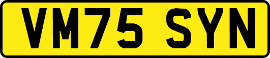 VM75SYN