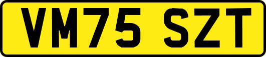 VM75SZT