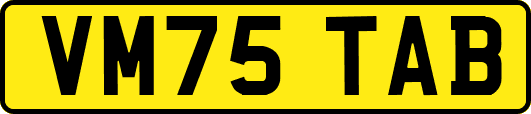 VM75TAB