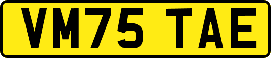 VM75TAE