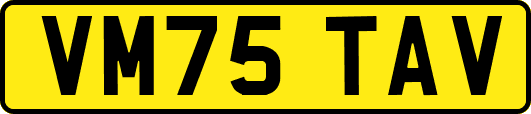 VM75TAV