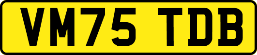 VM75TDB
