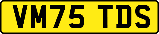 VM75TDS