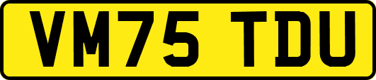 VM75TDU