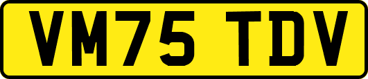 VM75TDV