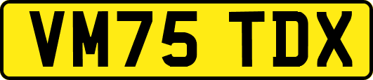 VM75TDX