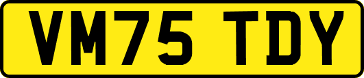 VM75TDY