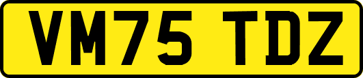 VM75TDZ