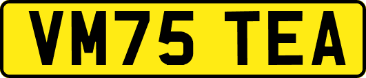 VM75TEA