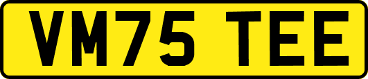 VM75TEE
