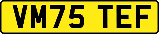 VM75TEF