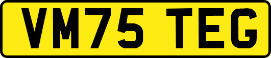 VM75TEG